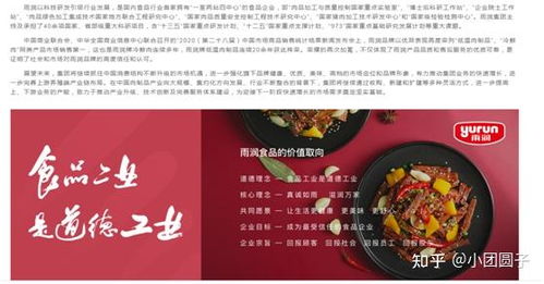 江苏知名食品企业的网络营销报告